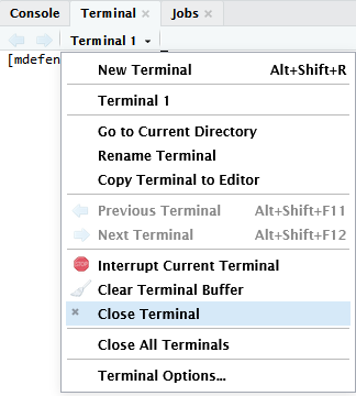 Close the R Terminal